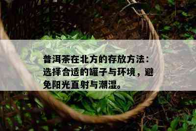 普洱茶在北方的存放方法：选择合适的罐子与环境，避免阳光直射与潮湿。