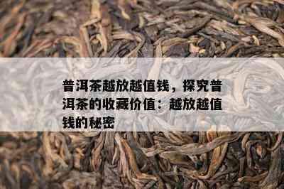 普洱茶越放越值钱，探究普洱茶的收藏价值：越放越值钱的秘密