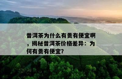 普洱茶为什么有贵有便宜啊，揭秘普洱茶价格差异：为何有贵有便宜？