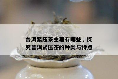 普洱紧压茶主要有哪些，探究普洱紧压茶的种类与特点