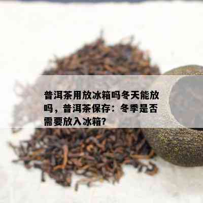 普洱茶用放冰箱吗冬天能放吗，普洱茶保存：冬季是否需要放入冰箱？