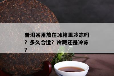 普洱茶用放在冰箱里冷冻吗？多久合适？冷藏还是冷冻？