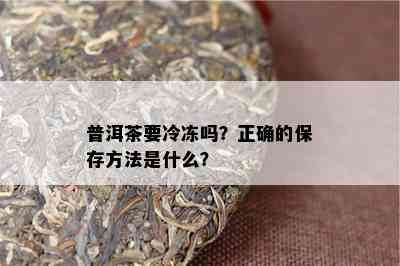 普洱茶要冷冻吗？正确的保存方法是什么？