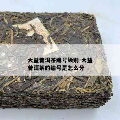 大益普洱茶编号级别-大益普洱茶的编号是怎么分