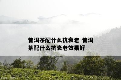 普洱茶配什么抗衰老-普洱茶配什么抗衰老效果好