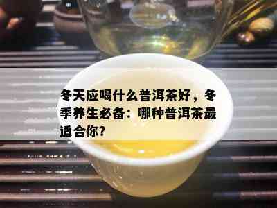 冬天应喝什么普洱茶好，冬季养生必备：哪种普洱茶最适合你？