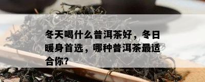 冬天喝什么普洱茶好，冬日暖身首选，哪种普洱茶最适合你？