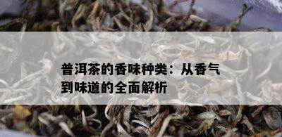 普洱茶的香味种类：从香气到味道的全面解析