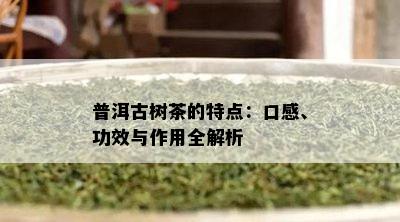 普洱古树茶的特点：口感、功效与作用全解析