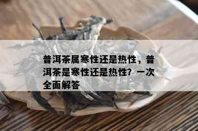 普洱茶属寒性还是热性，普洱茶是寒性还是热性？一次全面解答