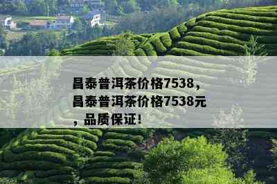 昌泰普洱茶价格7538，昌泰普洱茶价格7538元，品质保证！