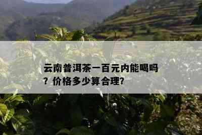 云南普洱茶一百元内能喝吗？价格多少算合理？