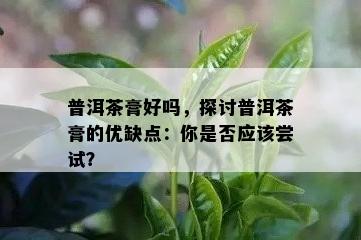 普洱茶膏好吗，探讨普洱茶膏的优缺点：你是否应该尝试？