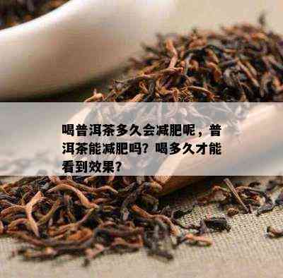 喝普洱茶多久会减肥呢，普洱茶能减肥吗？喝多久才能看到效果？