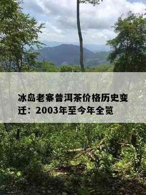 冰岛老寨普洱茶价格历史变迁：2003年至今年全览