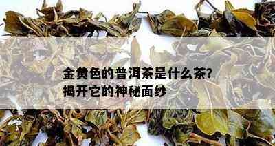 金黄色的普洱茶是什么茶？揭开它的神秘面纱