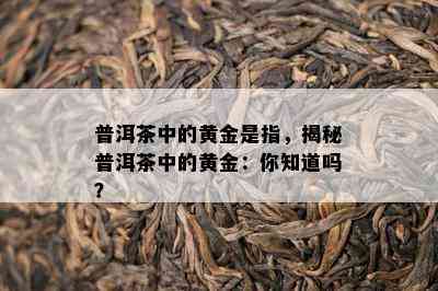 普洱茶中的黄金是指，揭秘普洱茶中的黄金：你知道吗？