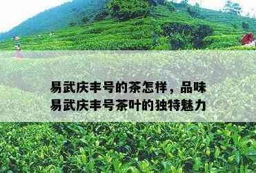 易武庆丰号的茶怎样，品味易武庆丰号茶叶的独特魅力