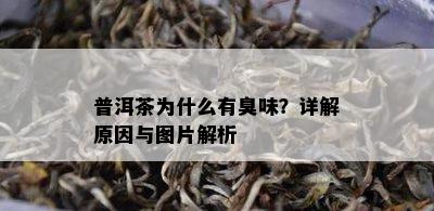 普洱茶为什么有臭味？详解原因与图片解析