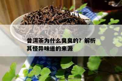 普洱茶为什么臭臭的？解析其怪异味道的来源