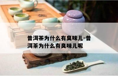 普洱茶为什么有臭味儿-普洱茶为什么有臭味儿呢