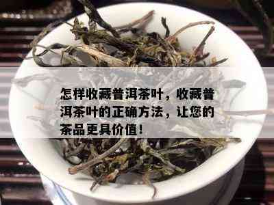 怎样收藏普洱茶叶，收藏普洱茶叶的正确方法，让您的茶品更具价值！