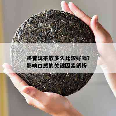 熟普洱茶放多久比较好喝？影响口感的关键因素解析