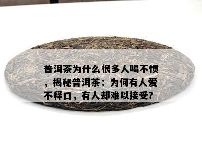 普洱茶为什么很多人喝不惯，揭秘普洱茶：为何有人爱不释口，有人却难以接受？