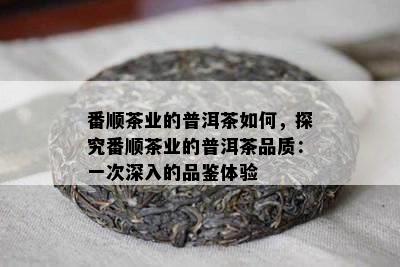 番顺茶业的普洱茶如何，探究番顺茶业的普洱茶品质：一次深入的品鉴体验