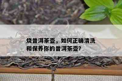 烧普洱茶壶，如何正确清洗和保养你的普洱茶壶？