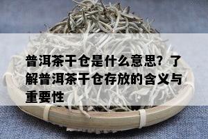 普洱茶干仓是什么意思？了解普洱茶干仓存放的含义与重要性