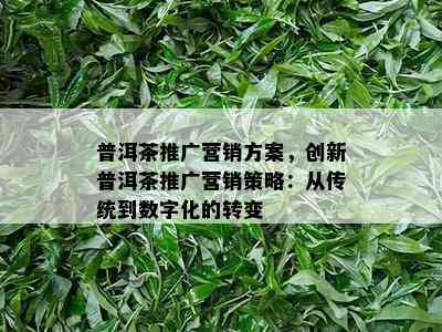 普洱茶推广营销方案，创新普洱茶推广营销策略：从传统到数字化的转变