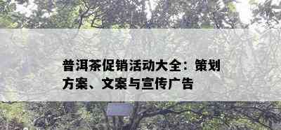 普洱茶促销活动大全：策划方案、文案与宣传广告