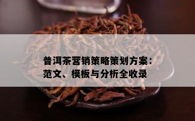 普洱茶营销策略策划方案：范文、模板与分析全收录