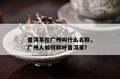 普洱茶在广州叫什么名称，广州人如何称呼普洱茶？