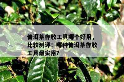 普洱茶存放工具哪个好用，比较测评：哪种普洱茶存放工具最实用？