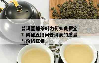 普洱直播茶叶为何如此便宜？揭秘直播间普洱茶的质量与价格真相！