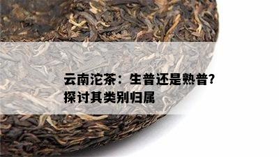 云南沱茶：生普还是熟普？探讨其类别归属