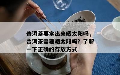 普洱茶要拿出来晒太阳吗，普洱茶需要晒太阳吗？了解一下正确的存放方式