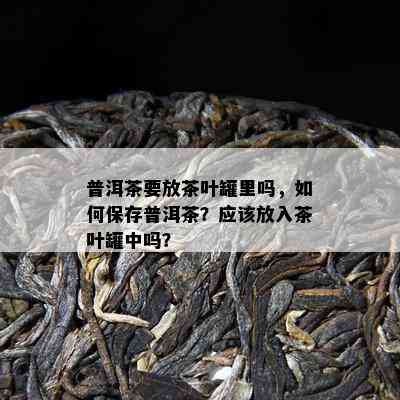 普洱茶要放茶叶罐里吗，如何保存普洱茶？应该放入茶叶罐中吗？