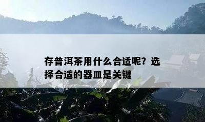 存普洱茶用什么合适呢？选择合适的器皿是关键