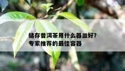 储存普洱茶用什么器皿好？专家推荐的更佳容器