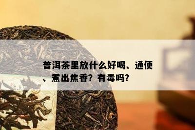 普洱茶里放什么好喝、通便、煮出焦香？有吗？