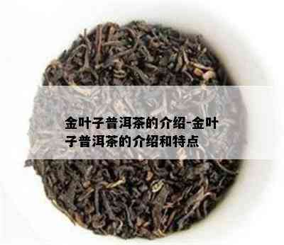 金叶子普洱茶的介绍-金叶子普洱茶的介绍和特点