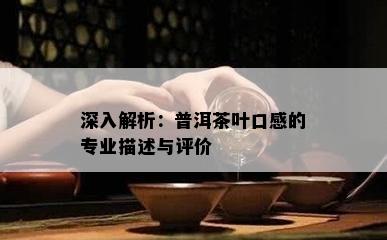 深入解析：普洱茶叶口感的专业描述与评价