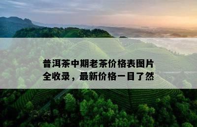 普洱茶中期老茶价格表图片全收录，最新价格一目了然