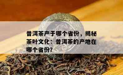 普洱茶产于哪个省份，揭秘茶叶文化：普洱茶的产地在哪个省份？