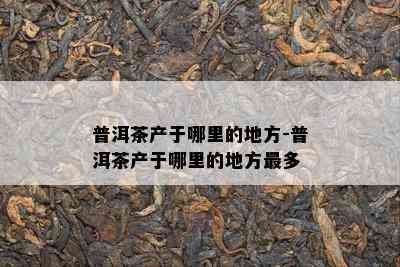 普洱茶产于哪里的地方-普洱茶产于哪里的地方最多