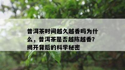 普洱茶时间越久越香吗为什么，普洱茶是否越陈越香？揭开背后的科学秘密