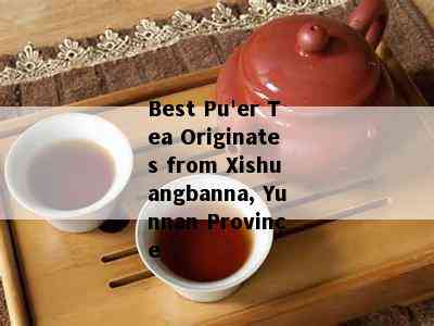 Best Pu'er Tea Originates from Xishuangbanna, Yunnan Province